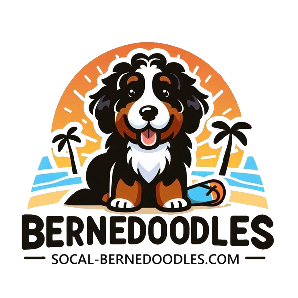 SoCal-Bernedoodles